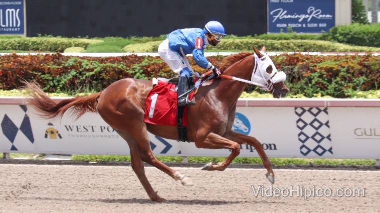 Gulfstreampark Race 3 3ra Carrera 2019 6 22 Videohipico Gulfstreampark Race 3 3ra Carrera 2019 6 22 Videohipico